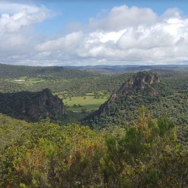 Гостевой дом Casa Rural Finca Los Conventos En Adamuz Cordoba Экстерьер фото