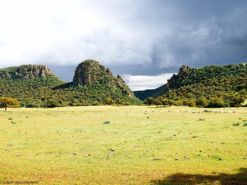 Гостевой дом Casa Rural Finca Los Conventos En Adamuz Cordoba Экстерьер фото